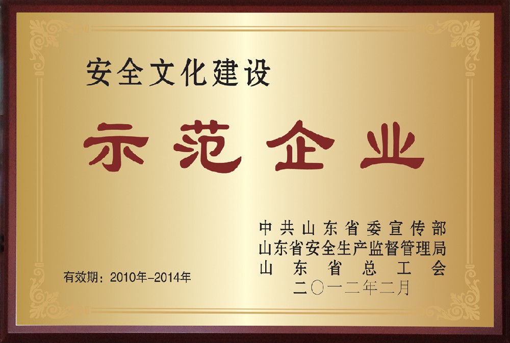 山東省安全文化建設(shè)示范企業(yè)
